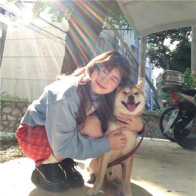神探忠犬